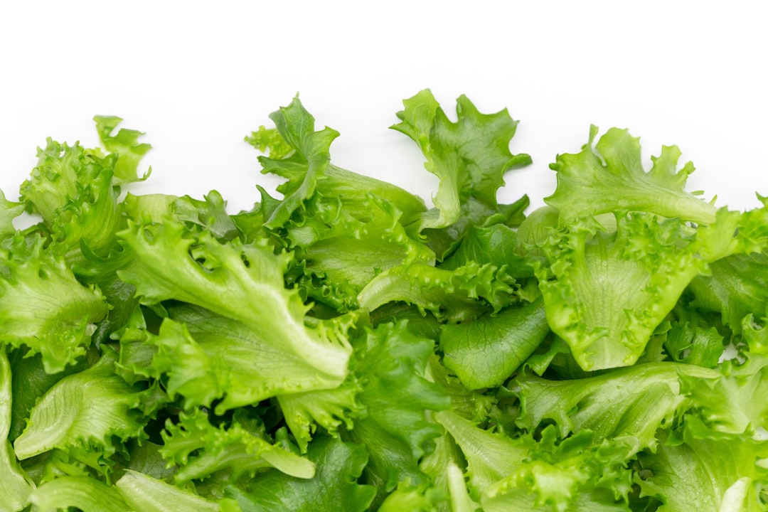 5 Common Mistakes with Deep Water Culture & Kratky (And How to Avoid Them)
