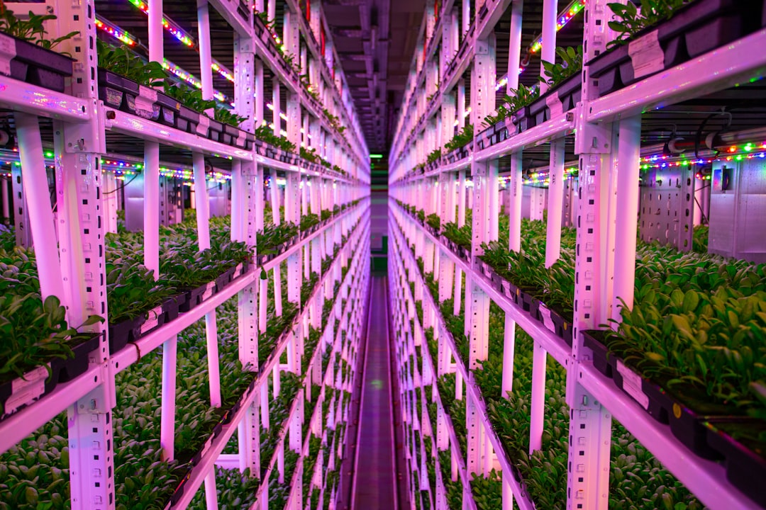 5 Common Mistakes with Full Spectrum LED Lighting (And How to Avoid Them)