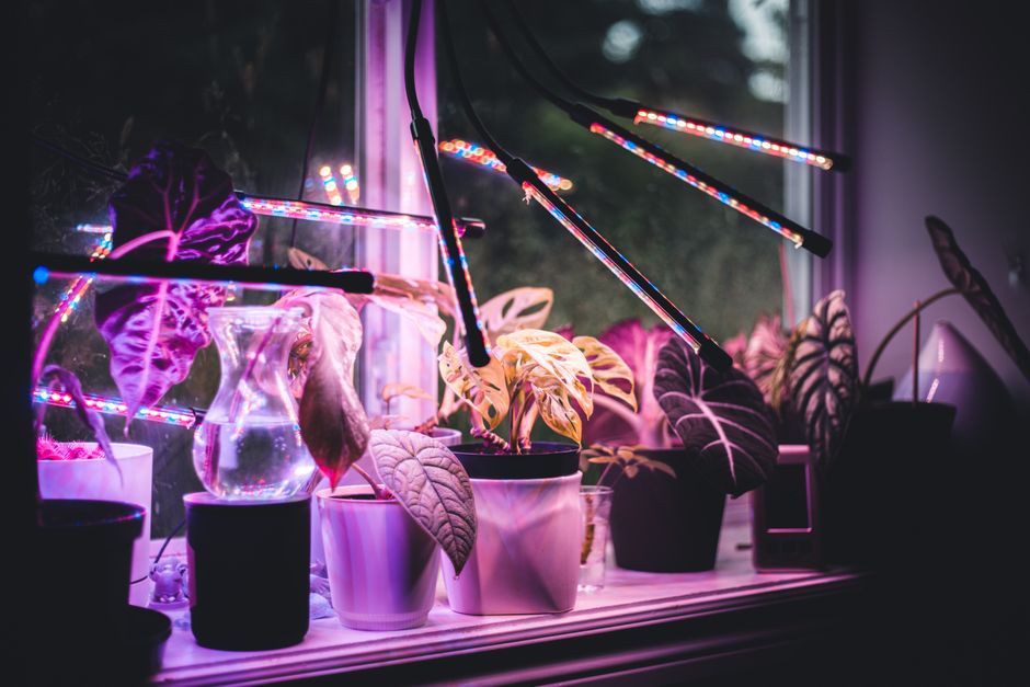 A Realistic Routine for Full Spectrum LED Lighting That Fits a Busy Life