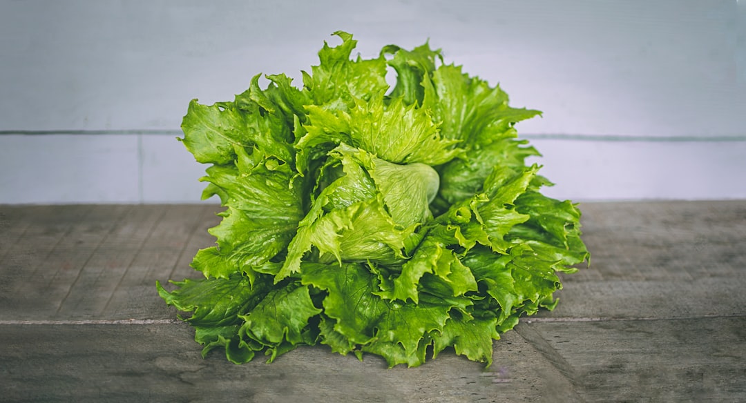 My Step-by-Step Blueprint for Deep Water Culture & Kratky
