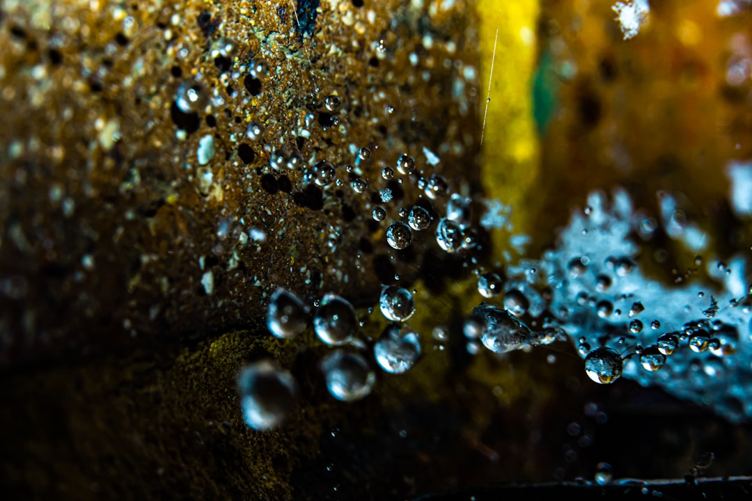 My Step-by-Step Blueprint for Water Pumps & Oxygenation