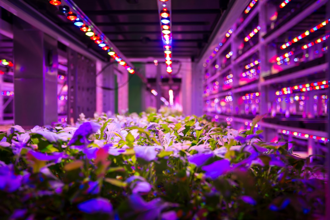 The Best Tools & Supplies I Actually Use for Full Spectrum LED Lighting